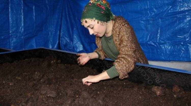 3 milyon solucanla gübre üreten çiftçi kadın