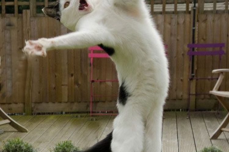 Hadi gençler kopuyoruz...