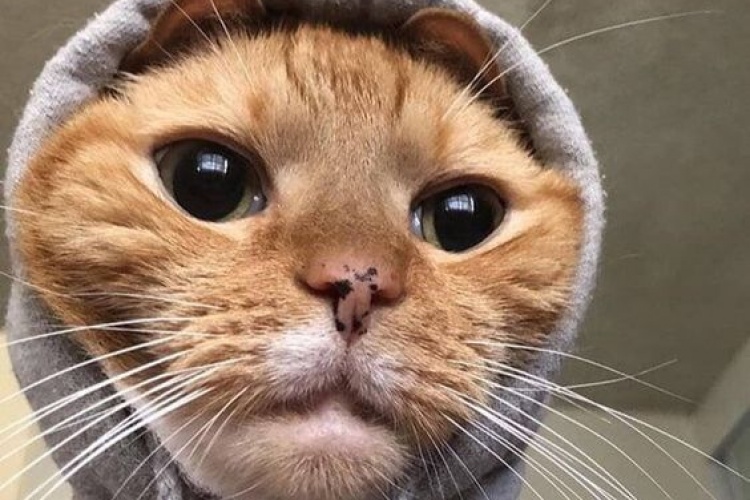 Havalar soğudu gibi